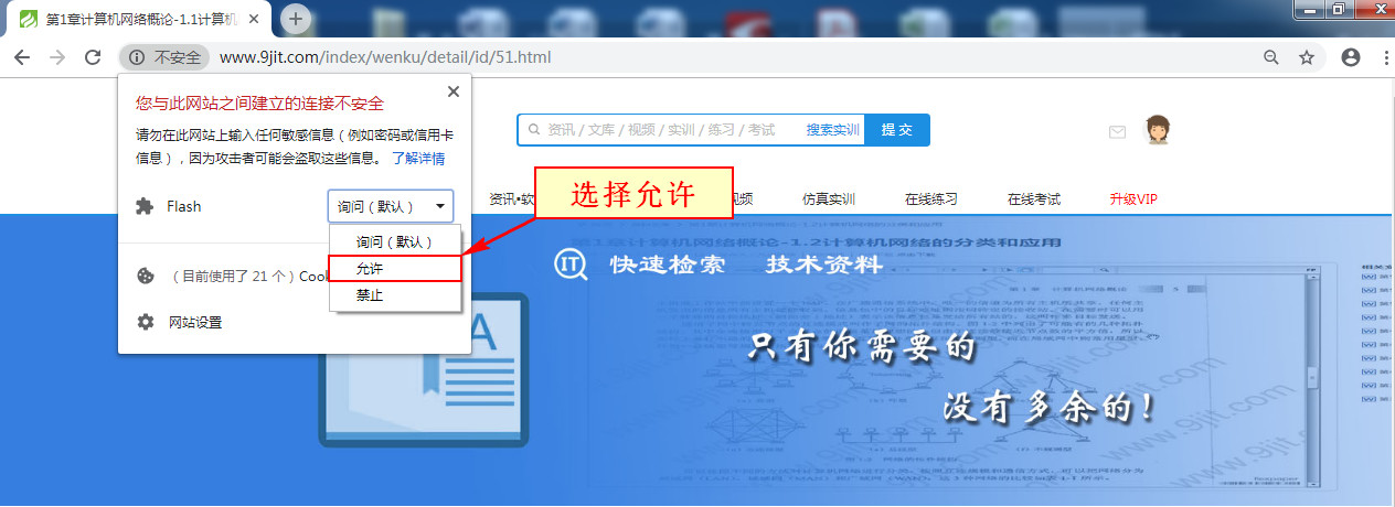 chrome-flash3.jpg