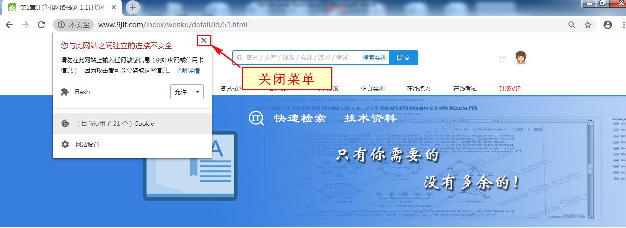 chrome-flash4.jpg